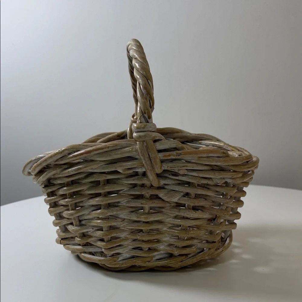 Woven Natural Rattan Storage Basket with Single Handle -‎ Beige/Tan
